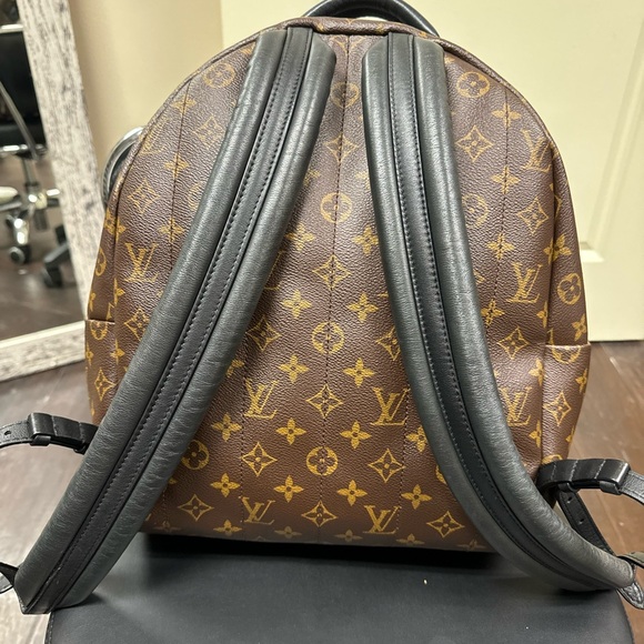 LOUIS VUITTON Palm Springs Backpack MM